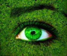 Attached picture greenEyes.jpg