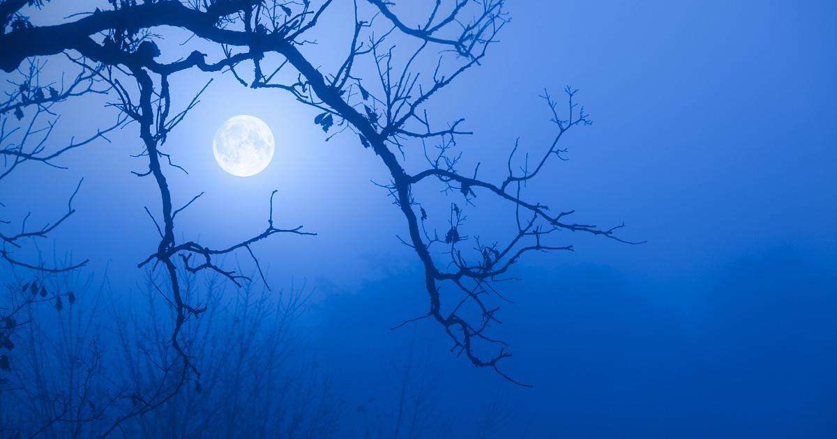 Attached picture full-moon-peeking-tree-branches-fog.jpg