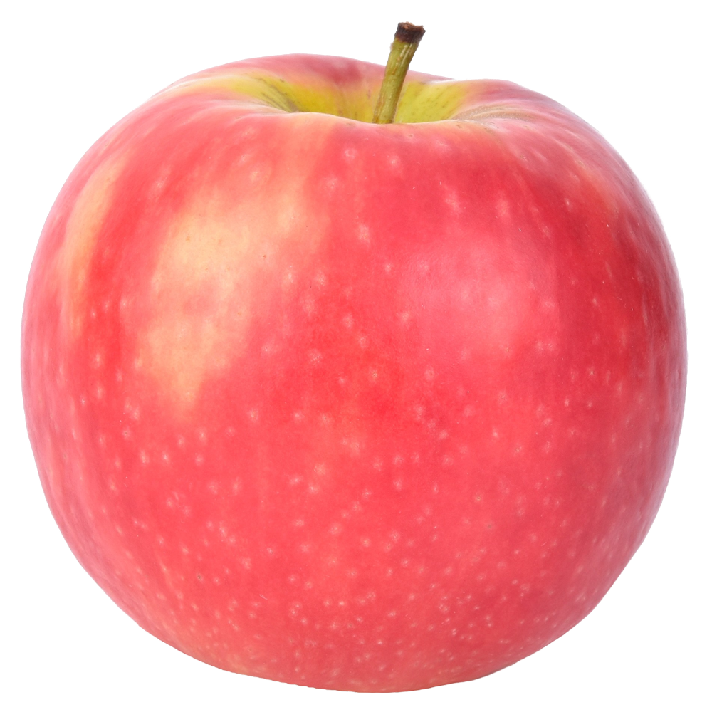 Attached picture apple-pink-lady.png